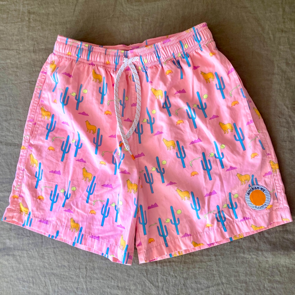 AMBSN Cowboy Dan NEW Swim Shorts Desert Cactus Western Print XS NWOT